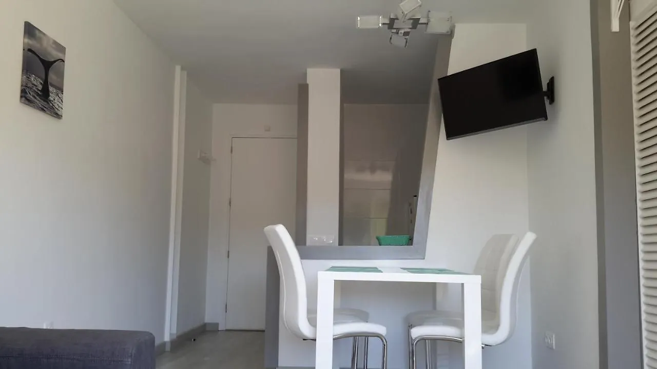 Apartment Domenech Carles 2  Lloret de Mar